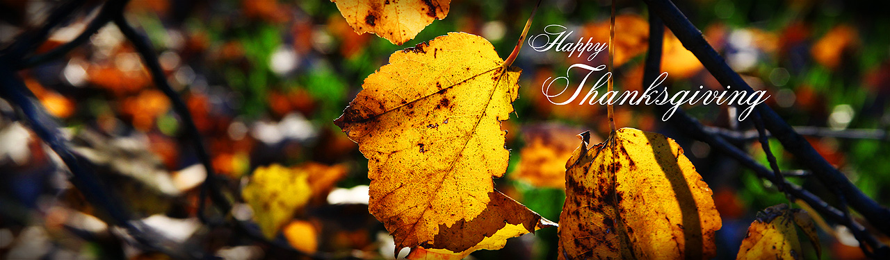 autumn-leaves-thanksgiving-day-website-banner-image