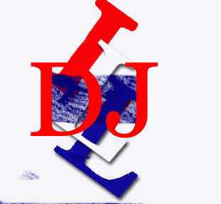 DJ_LLL_Hat Logo1_RED_1 copy