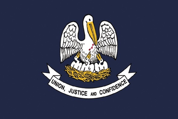 Monroe LA_Flag_Croppd